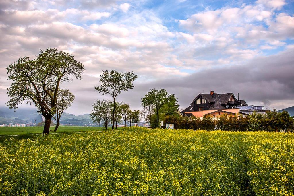 Vila Fenix B&B รูชอมแบรอค ภายนอก รูปภาพ